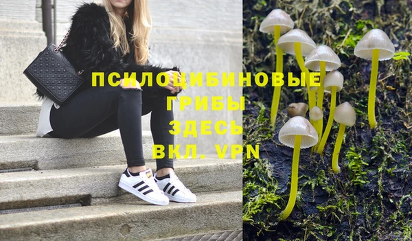 2c-b Абдулино