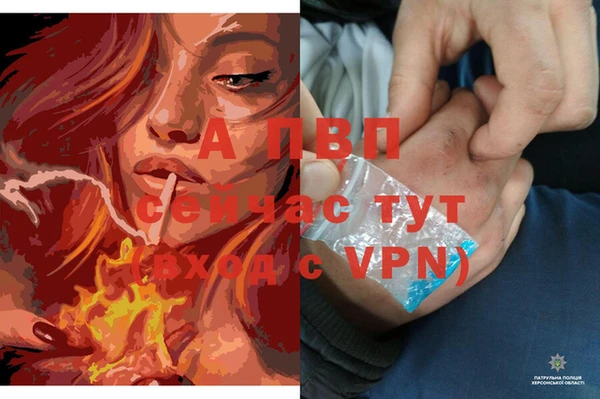 2c-b Абаза